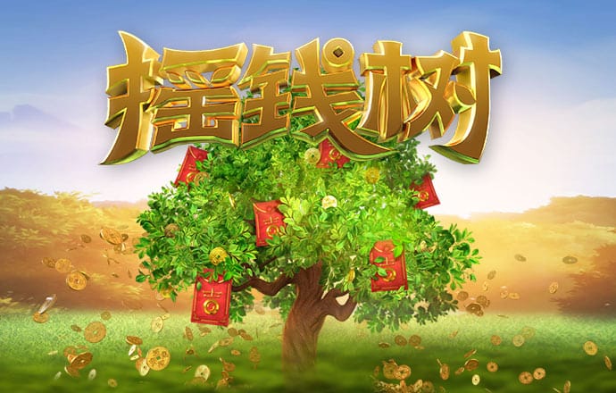 55234.77官网进入